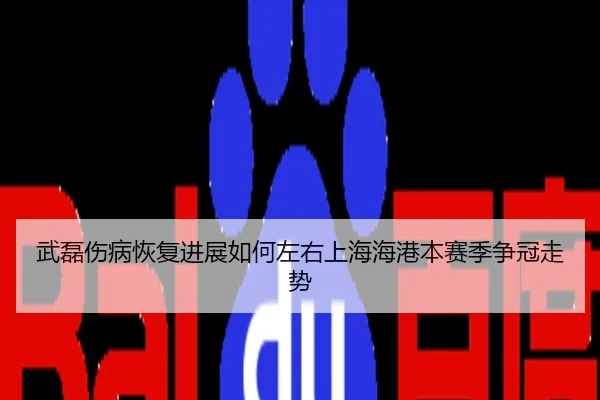 武磊伤病恢复进展如何左右上海海港本赛季争冠走势