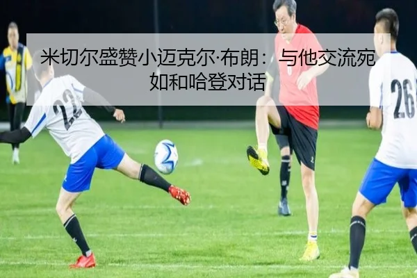 米切尔盛赞小迈克尔·布朗：与他交流宛如和哈登对话